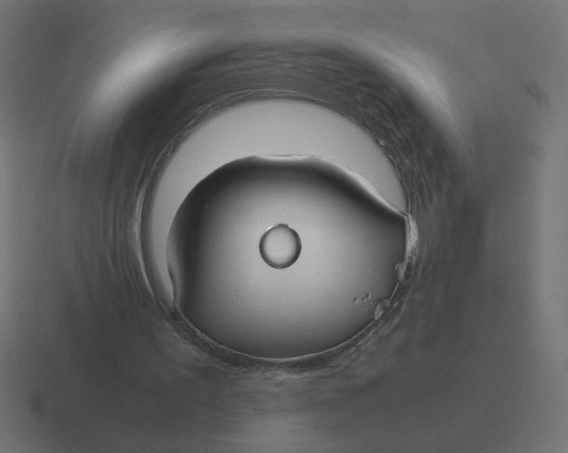 X0000116440195200912291934