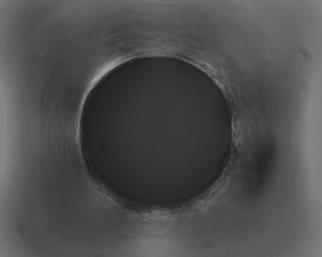 X0000116440196200912291934