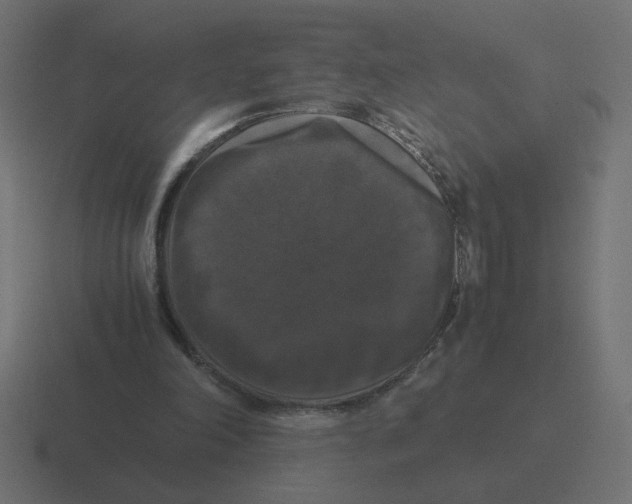 X0000116440198200912291934