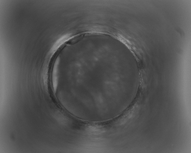 X0000116440199200912291934