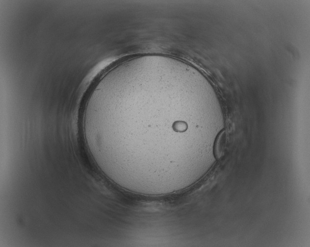 X0000116440200200912291934