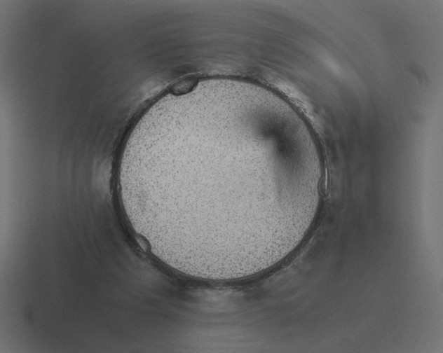 X0000116440201200912291934