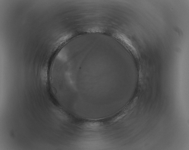 X0000116440202200912291934