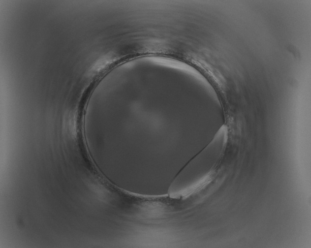 X0000116440203200912291934