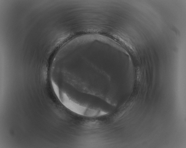 X0000116440206200912291934