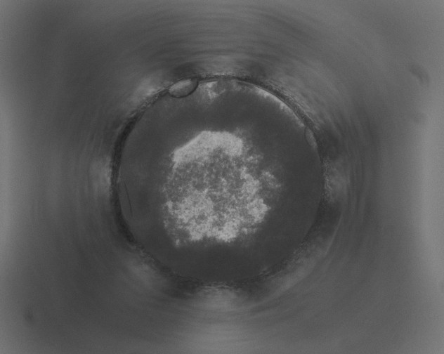 X0000116440207200912291934