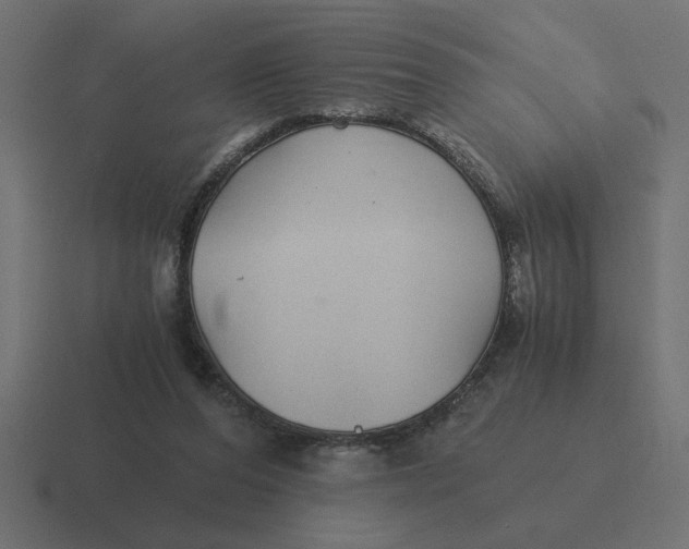 X0000116440208200912291934