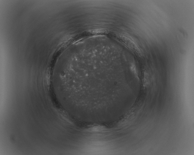 X0000116440210200912291934