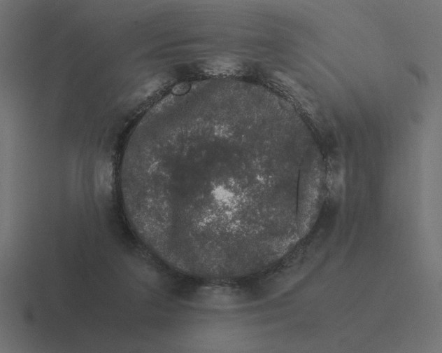 X0000116440211200912291934