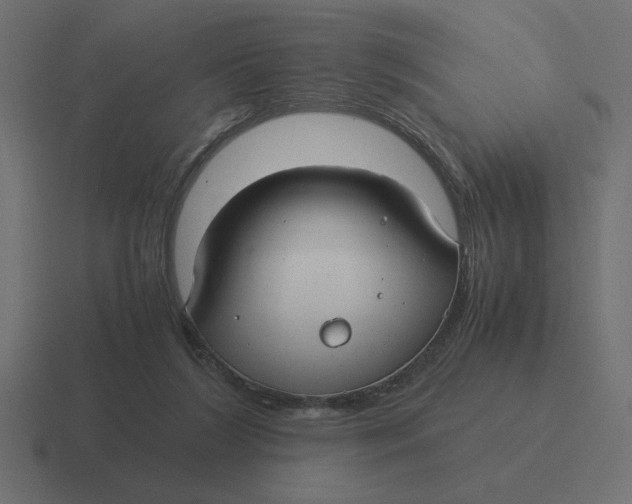 X0000116440212200912291934