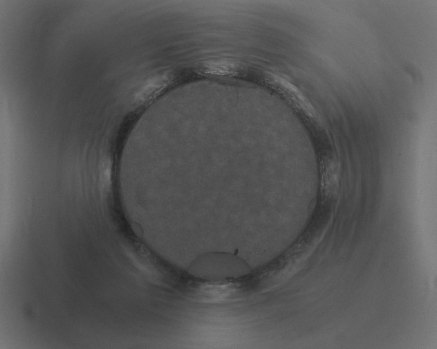 X0000116440213200912291934