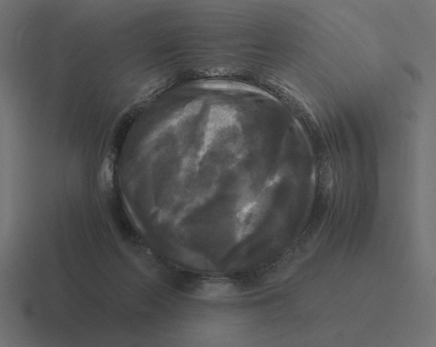 X0000116440214200912291934