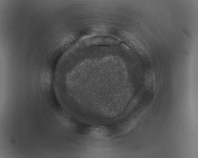 X0000116440215200912291934