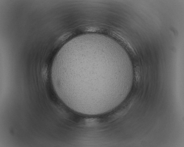 X0000116440216200912291934