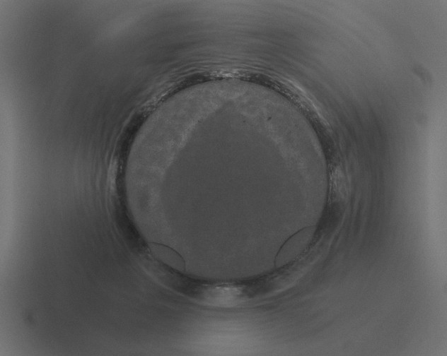 X0000116440217200912291934