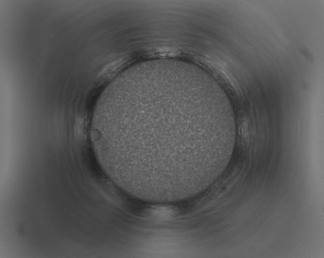 X0000116440218200912291934