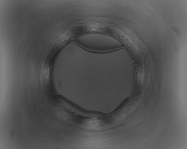 X0000116440219200912291934