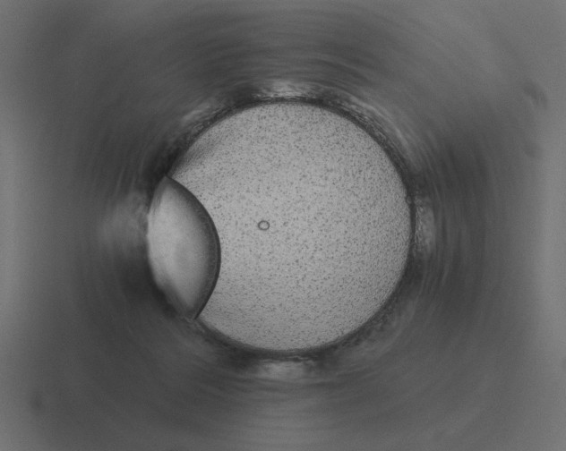 X0000116440220200912291934