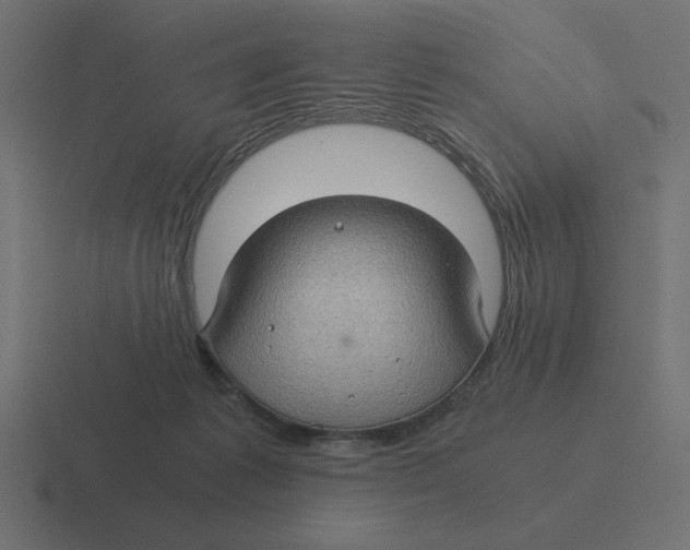 X0000116440221200912291934