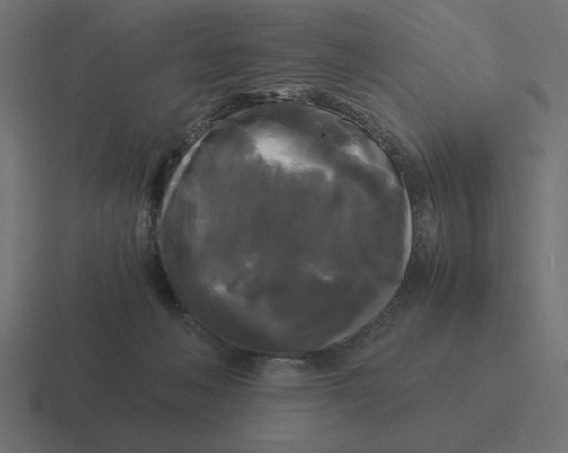 X0000116440222200912291934