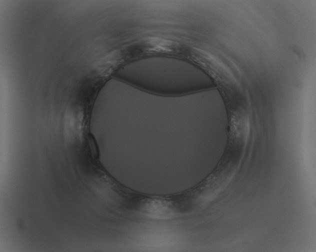 X0000116440223200912291934