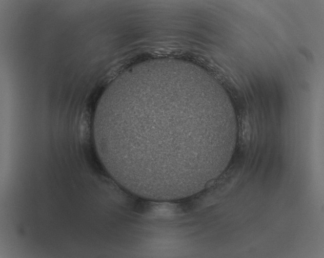 X0000116440226200912291934