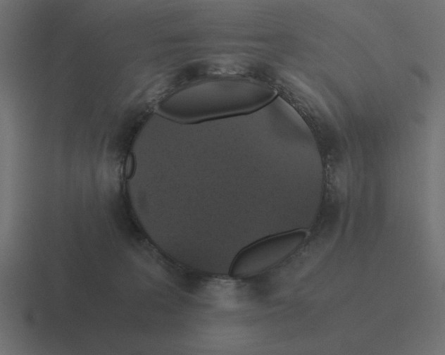 X0000116440227200912291934