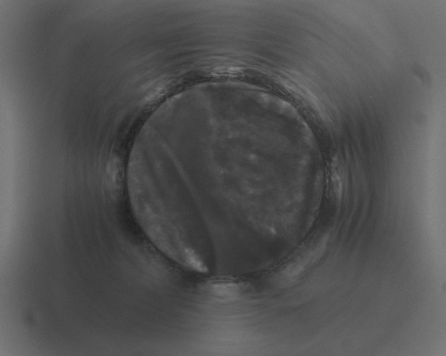 X0000116440228200912291934