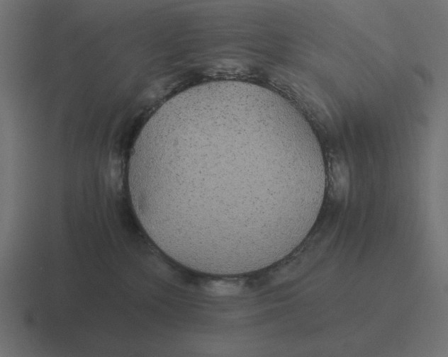 X0000116440232200912291934