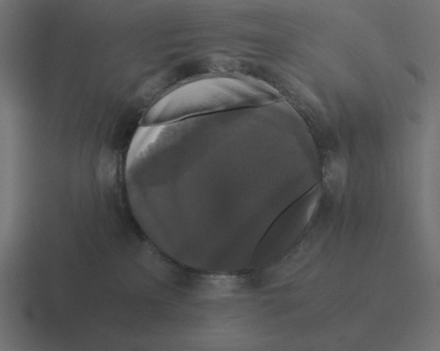 X0000116440233200912291934