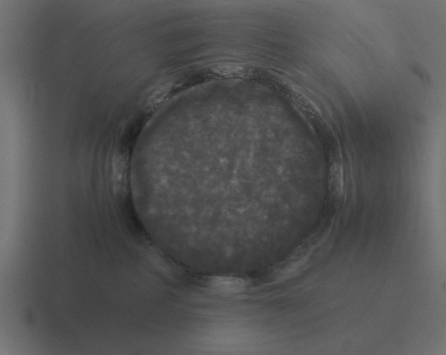 X0000116440234200912291934