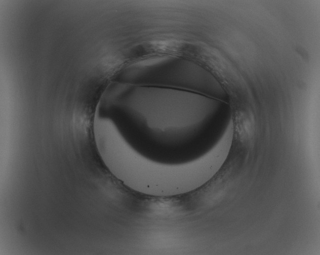 X0000116440235200912291934