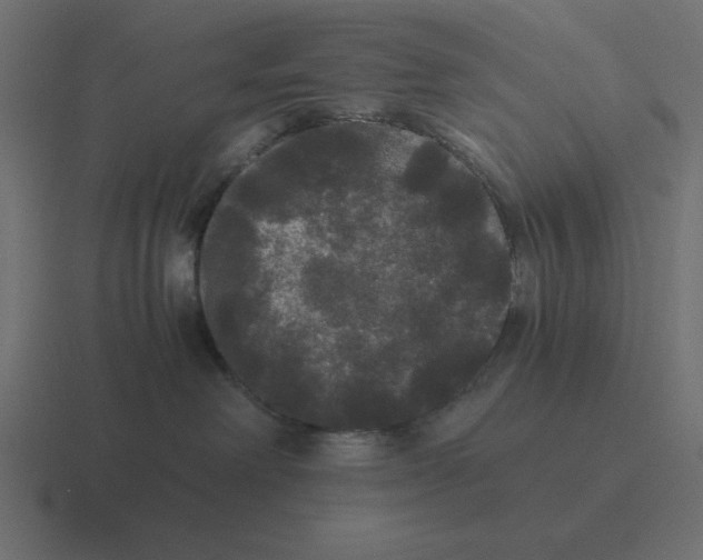 X0000116440238200912291934