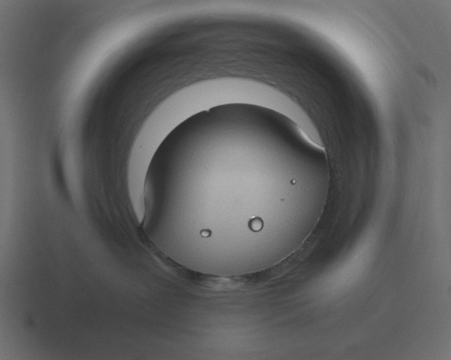 X0000116440239200912291934