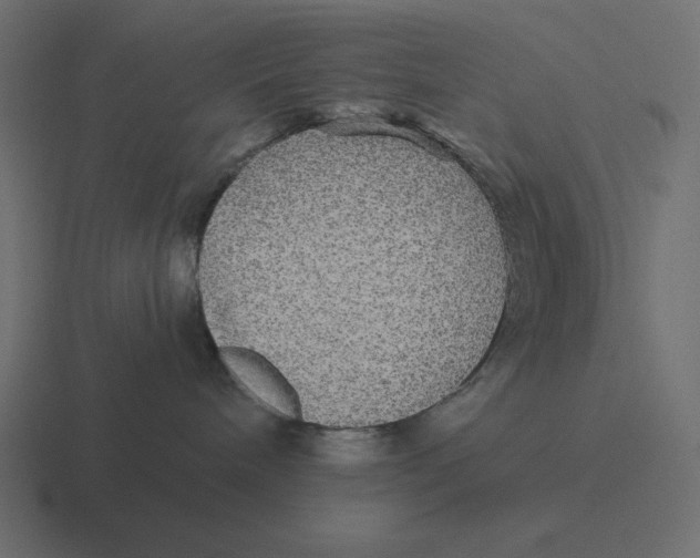 X0000116440240200912291934