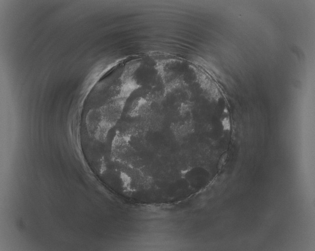 X0000116440241200912291933