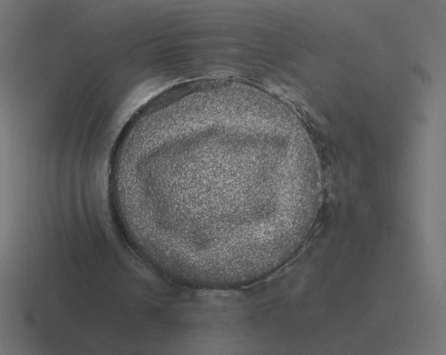 X0000116440242200912291933