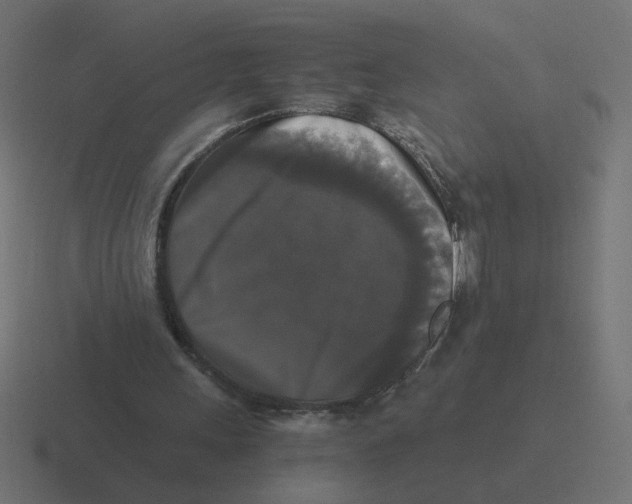 X0000116440243200912291933