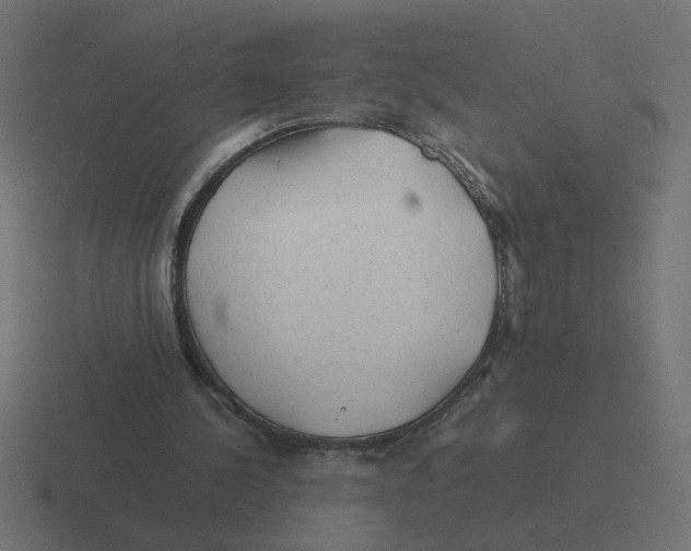 X0000116440244200912291933