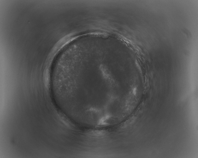 X0000116440247200912291933