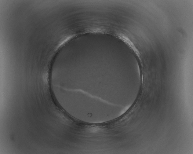 X0000116440249200912291933