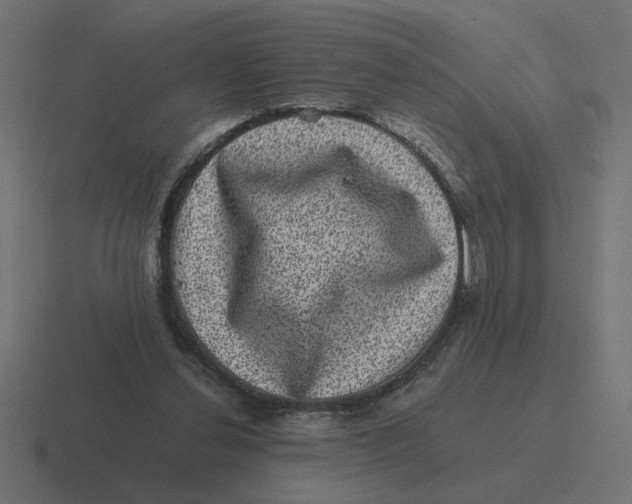 X0000116440252200912291933