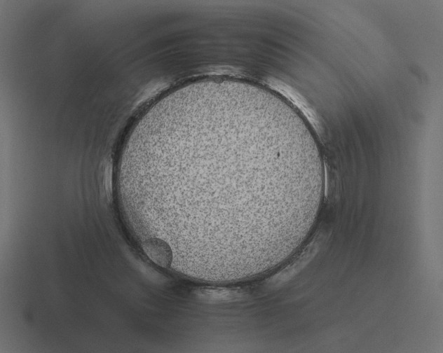 X0000116440253200912291933