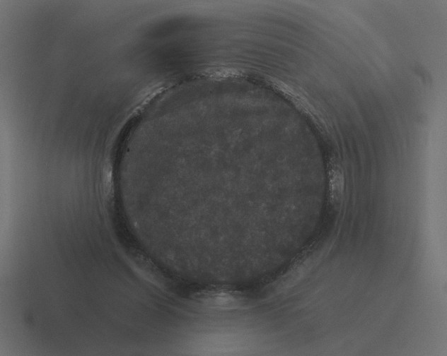 X0000116440254200912291933