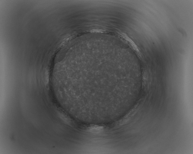 X0000116440257200912291933