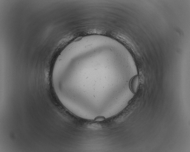 X0000116440258200912291933