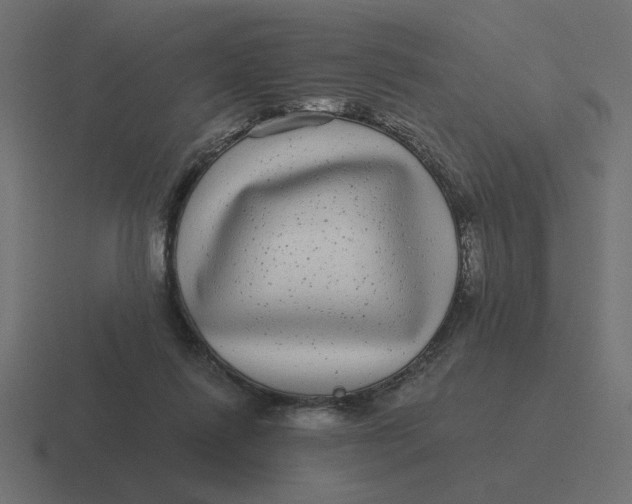 X0000116440262200912291933