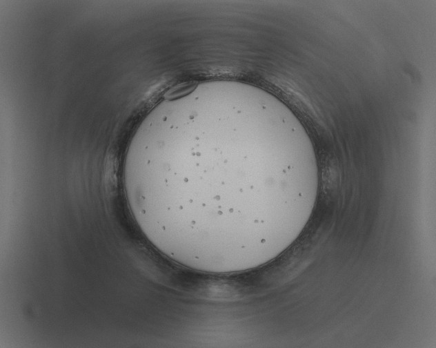 X0000116440264200912291934