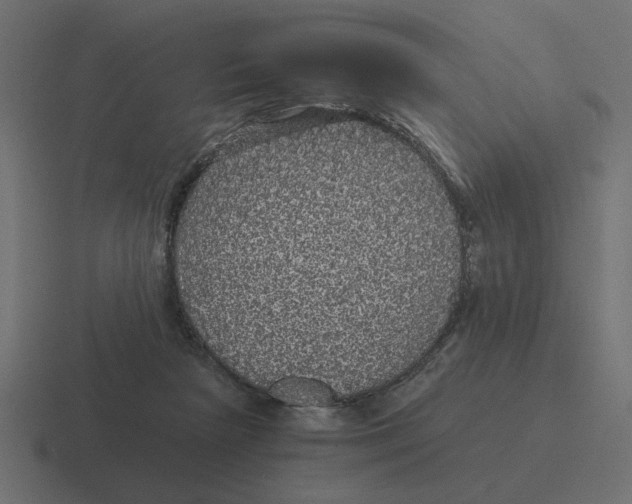 X0000116440265200912291934