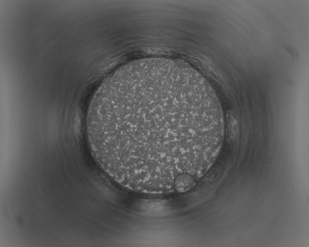 X0000116440266200912291934